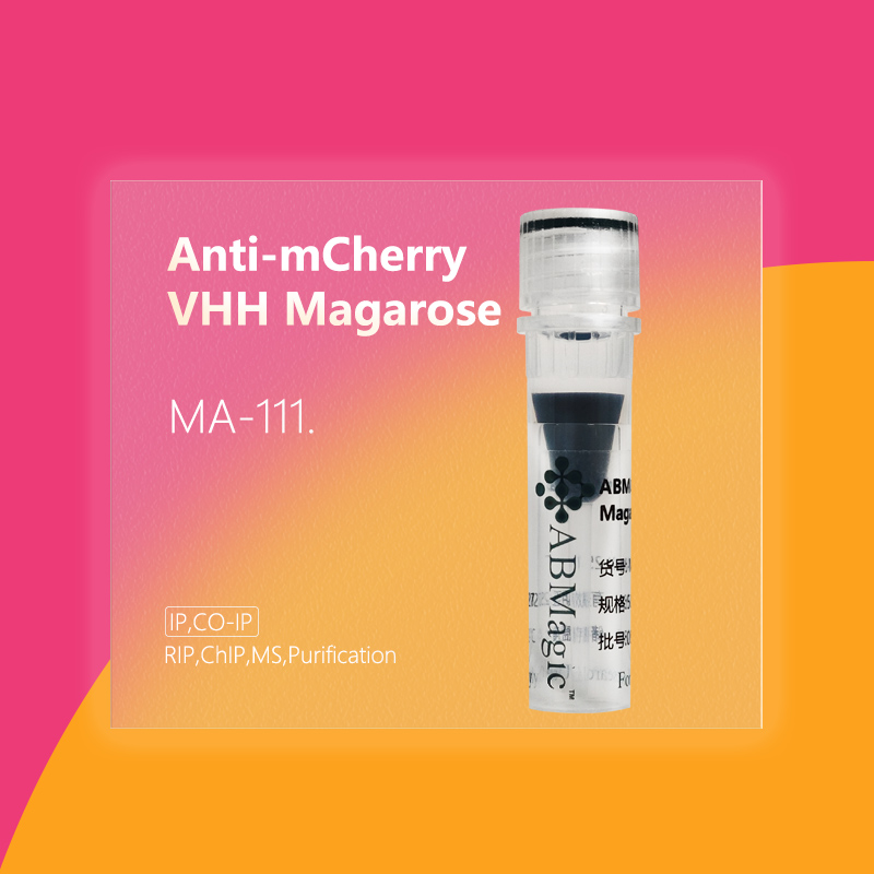 ABM®Anti-mCherry VHH Magarose