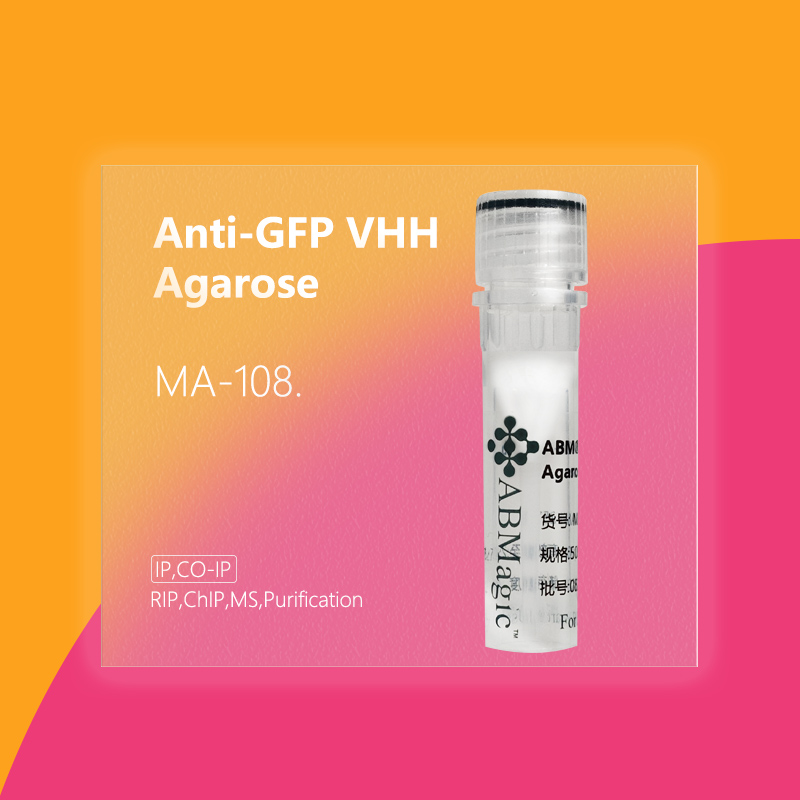 ABM®Anti-GFP VHH Agarose