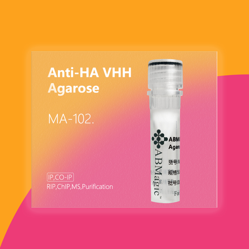 ABM®Anti-HA VHH Agarose