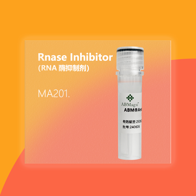 Rnase Inhibitor （RNA酶抑制剂）