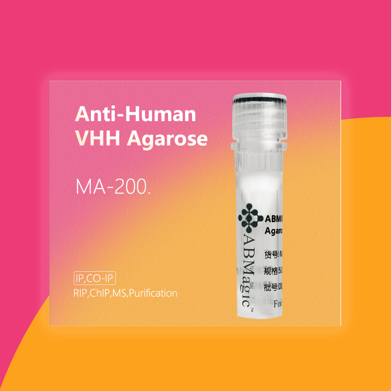 ABM®Anti-Human VHH Agarose