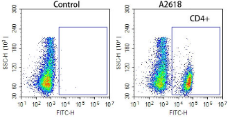Anti-mouse CD4 Recombinant Antibody （GFP tag）
