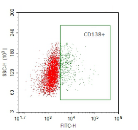 Anti-human CD138 Recombinant Antibody （GFP tag）