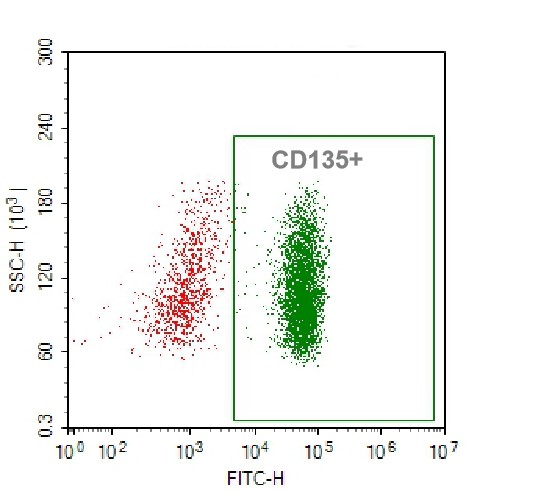 Anti-human CD135 Recombinant Antibody （GFP tag）
