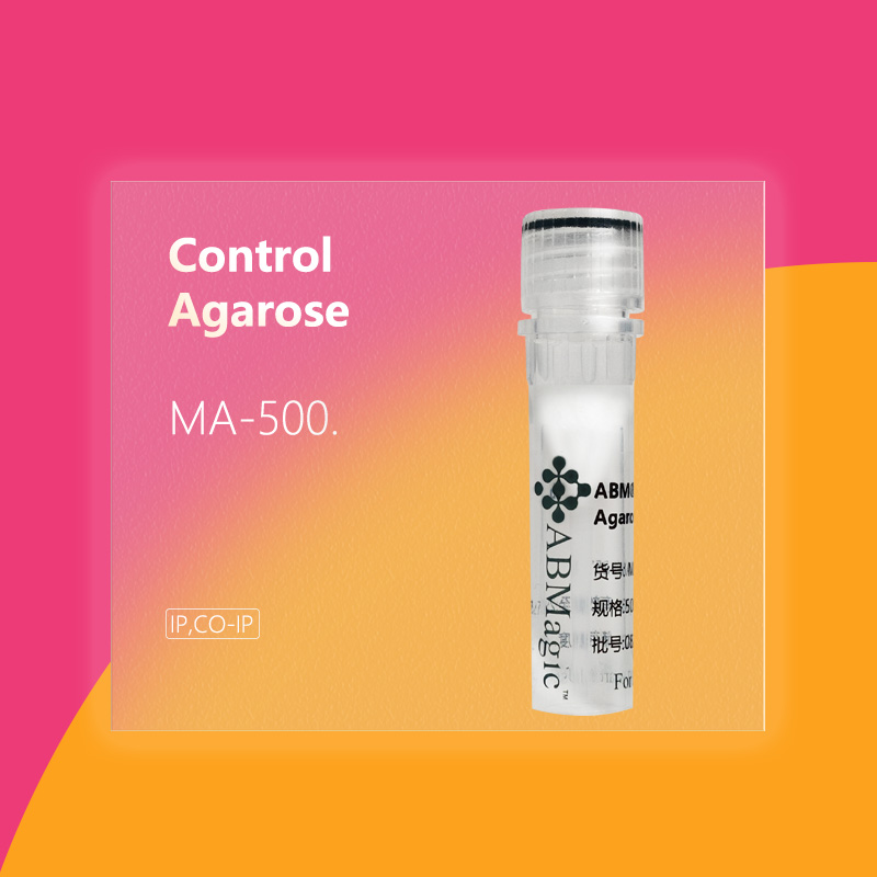 ABM®Control Agarose