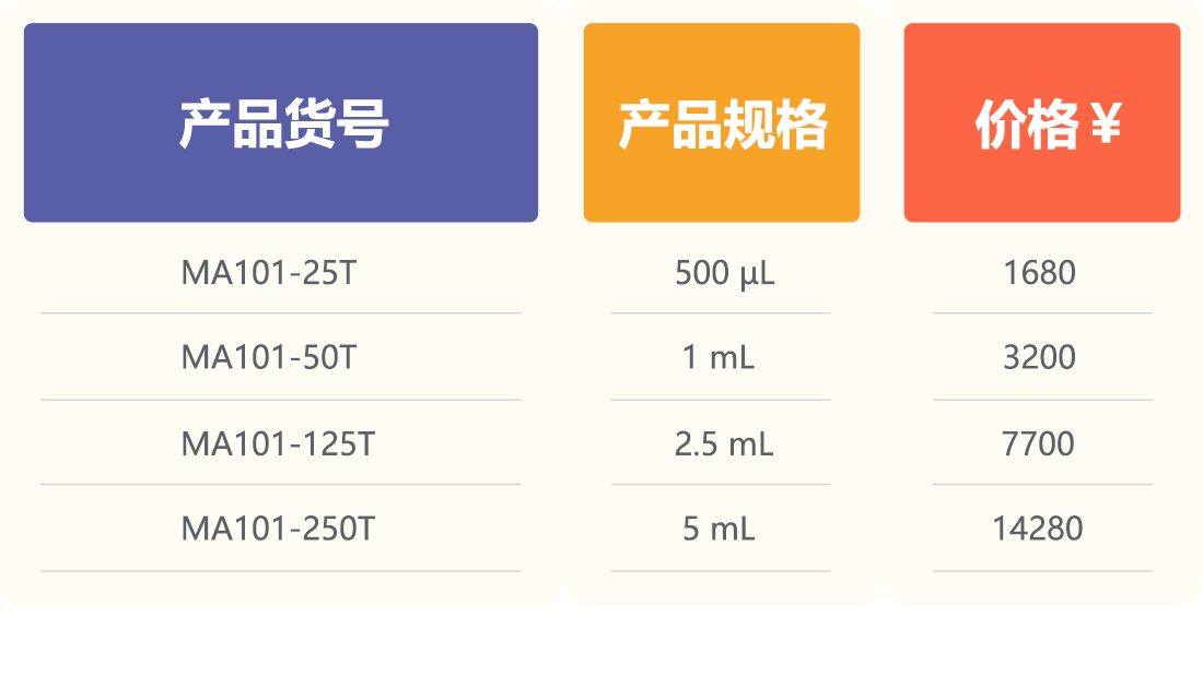 Flag MA101 小(1).png